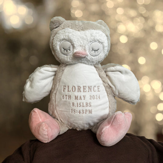 Large Personalised Owl Teddy